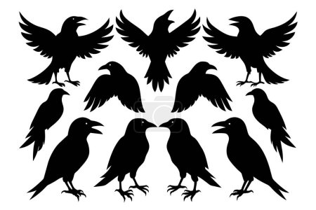 Illustration for Crow silhouette bundle vector illustration - Royalty Free Image