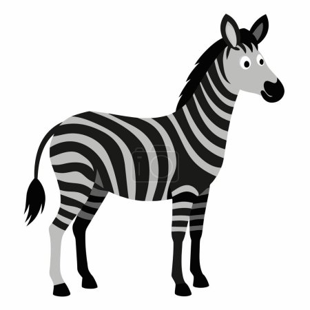 Illustration for A zebra standing on a white background. - Royalty Free Image