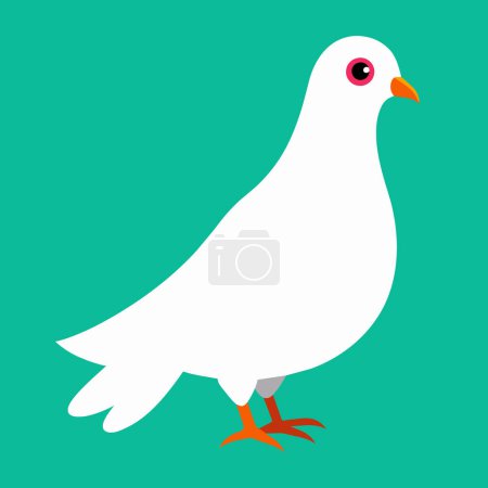 Illustration for A white pigeon is standing on a turquoise background - Royalty Free Image