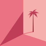 A pink wall with a palm tree shadow on it
