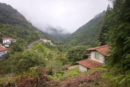 Photo for Houses in Madeira mountains, foggy misty morning. - Royalty Free Image