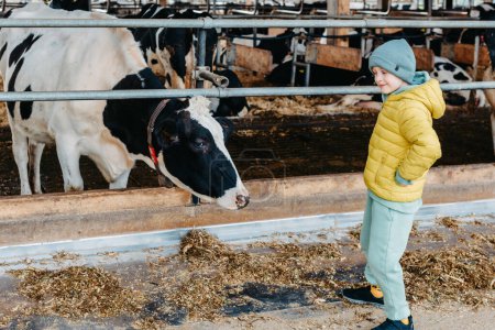 Téléchargez les photos : Petit garçon caucasien nourrissant des vaches à la ferme. Troupeau de bovins laitiers. Style de vie rural familial moderne. Agriculture et agriculture. Saison d'automne - en image libre de droit