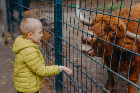 Téléchargez les photos : Portrait extérieur d'enfants prenant soin d'une vache et la nourrissant dans une ferme. garçon dans zoo nourrit buffle - en image libre de droit