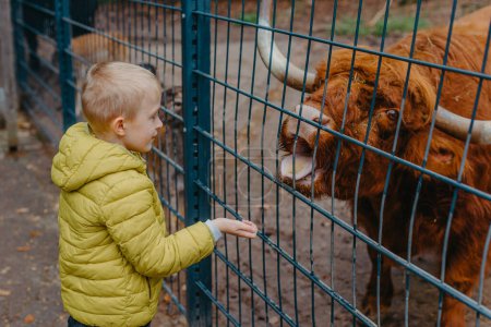 Téléchargez les photos : Portrait extérieur d'enfants prenant soin d'une vache et la nourrissant dans une ferme. garçon dans zoo nourrit buffle - en image libre de droit