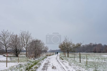 Wintersymphonie: Schneebedeckte Felder, ländliche Straßen und Weihnachtsfreude