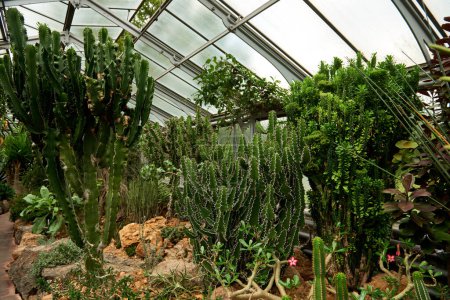 Explore un fascinante jardín botánico lleno de una amplia gama de plantas, mostrando la belleza de la naturaleza, la sostenibilidad y la armonía ambiental. Botanical Bliss Unveiled: Un viaje a través de