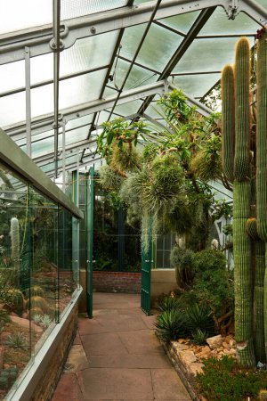Explore a mesmerizing botanical garden filled with a diverse array of plants, showcasing the beauty of nature, sustainability, and environmental harmony. Botanical Bliss Unveiled: A Journey Through