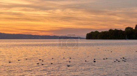 Panorama du lever du soleil sur le lac Bodensee. Soleil du matin au-dessus des eaux tranquilles. Admirez l'aube fascinante au-dessus du lac Germanys Bodensee, capturé sur un quai de bateau. Embrassez la beauté tranquille du début