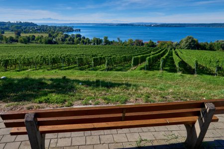 Hillside Retreat: Bench Amidst Vineyards, Overlooking a Mountain Lake and Peaks. Scenic Seclusion Captured: Resting Bench with Grapevines, Mountain Lake, and Distant Peaks. Natures Vista Defined