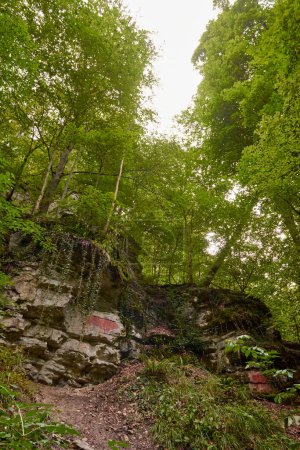 Foto de Majestic Pine Forest Serenity: Vista aérea de los árboles remolcadores en medio del paisaje montañoso. Alpine Paradise: Vibrant Autumn Colors in Mountain Forest Setting (en inglés). Amanecer resplandor sobre Misty Mountain Forest - Imagen libre de derechos