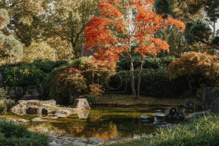 Schöne ruhige Szene im Frühling japanischen Garten. Japans Herbstbild. Schöner japanischer Garten mit Teich und roten Blättern. Teich in einem japanischen Garten.
