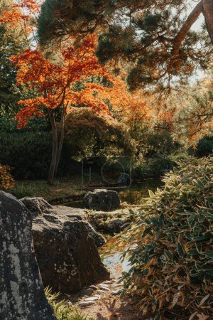 Beautiful calm scene in spring Japanese garden. Japan autumn image. Beautiful Japanese garden with a pond and red leaves. Pond in a Japanese garden.