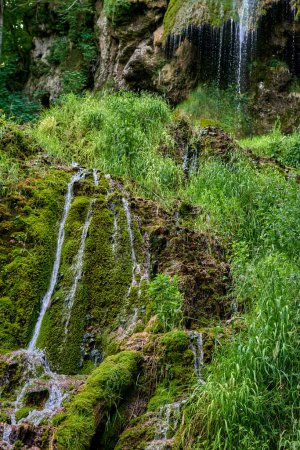 Majestätische Kaskade: Uracher Wasserfall inmitten grüner Waldlandschaft.
