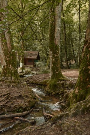 Tranquil Riverside Retreat: Wooden Cabin in Black Forest Amidst Picturesque Mountain Landscape. Scenic Riverbank Serenity: Lonely Wooden Cabin Surrounded by Lush Greenery in Mountainous Terrain