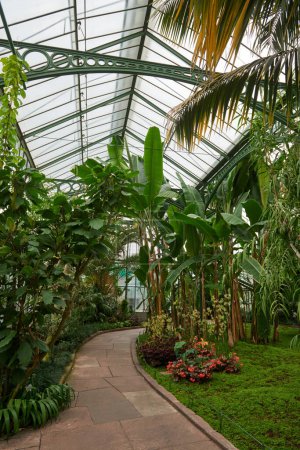 Amazonian Ecosystem Enchantment: Natures Wonders in the Botanical Greenhouse. Botanic Rainforest Marvel: Exploring the Amazonian Flora in the Conservatory. Amazonian Ecosystem Enchantment Unveiled