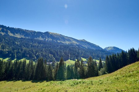 Alpine Bliss Unveiled: Meadows and Evergreen Forests Under Summer Skies. Majesté des montagnes capturée : pâturages et pentes chargées de pins en été. Palette Natures définie : Harmonie des écosystèmes alpins
