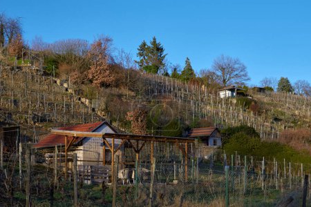 Experience the tranquility of autumn in Germany, where charming cottages dot the landscape of a German village surrounded by vineyards on the mountain slopes near the river. Immerse yourself in the