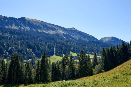Téléchargez les photos : Alpine Bliss Unveiled: Meadows and Evergreen Forests Under Summer Skies. Majesté des montagnes capturée : pâturages et pentes chargées de pins en été. Palette Natures définie : Harmonie des écosystèmes alpins - en image libre de droit