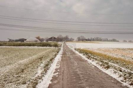 Symphonie d'hiver : champs enneigés, routes rurales et délices de Noël