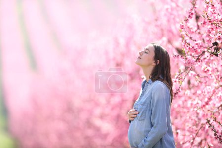 Foto de Vista lateral de una mujer embarazada respirando aire fresco en un campo rosa - Imagen libre de derechos