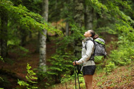 Foto de Hiker in a forest breathing fresh air standing alone - Imagen libre de derechos