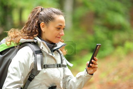 Téléchargez les photos : Randonneur pédestre vérifie téléphone dans une forêt - en image libre de droit