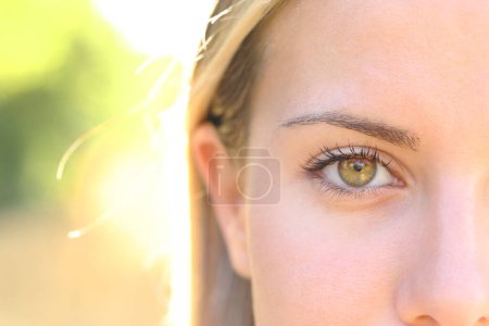 Foto de Primer plano de un hermoso ojo de mujer mirando a la cámara - Imagen libre de derechos