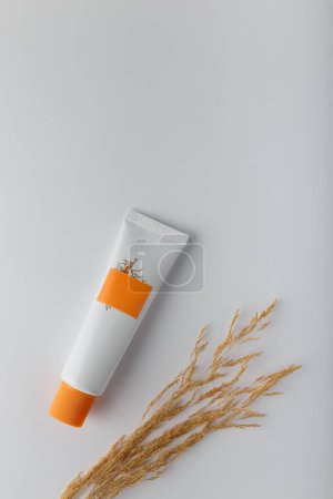 Cosmetics tube mockup template. Cream with sea buckthorn extract, face skin care. Container with no brand orange label on white with reeds