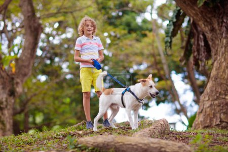 Photo for Child and dog walk in summer park. Little boy playing with his puppy. Family walking dog. Kids and pets friendship. Animal love and care. Children and pets. - Royalty Free Image