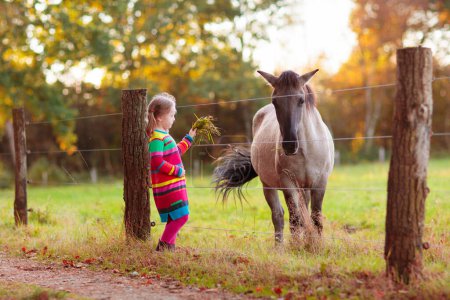 Photo for Little girl feeding a horse. Kid playing with pet horses. Child feeding animal on a ranch on cold fall day. Family on a farm in autumn. Outdoor fun for children. - Royalty Free Image