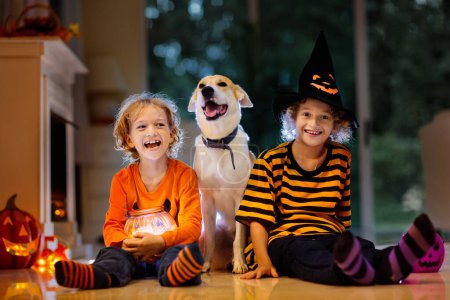 Téléchargez les photos : Petite fille et garçon en costume de sorcière pour Halloween. Des enfants tenant des bonbons dans un seau à citrouille. Les enfants célèbrent Halloween à la cheminée décorée. Astuce ou traitement familial. - en image libre de droit