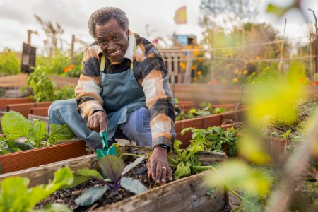 Focused elder man carefully planting in a raised bed within a community urban garden.