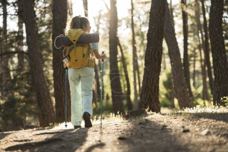 Eine Wanderin geht, von hinten gesehen, mit Trekkingstöcken auf einem Waldweg, umarmt vom warmen Schein des Sonnenlichts, das durch die Kiefern filtert..