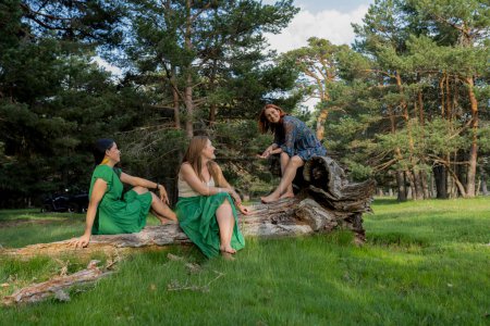 Drei Freunde sitzen auf einem umgestürzten Baumstamm in einem Kiefernwald, unterhalten sich und genießen die Gesellschaft des anderen in einer ruhigen Outdoor-Umgebung.