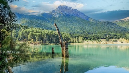 Mirror Mountain . Reflection of mountain and trees on lake Doxa. Mountainous Corinth. Greece