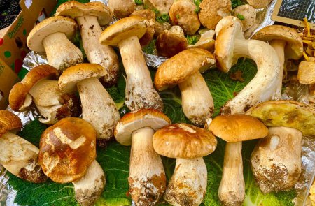 Photo for Organic mushrooms at the market in Paris - Royalty Free Image