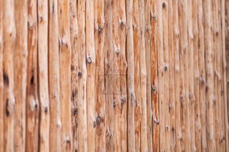 Photo for Wooden logs in a row - Royalty Free Image