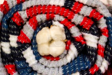 Téléchargez les photos : Couverture en laine colorée enroulée dans un tourbillon avec une poupée en coton naturel - en image libre de droit
