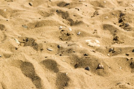 Téléchargez les photos : Plage de sable avec des empreintes de pierres et de chaussures, vue ci-dessus - en image libre de droit