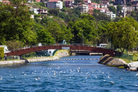 Téléchargez les photos : Petit pont sur le ruisseau dans le district de Beykoz sur le côté asiatique d'Istanbul - en image libre de droit