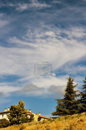 Téléchargez les photos : Nuages blancs en forme de vent avec des pins dans un ciel bleu, image verticale - en image libre de droit