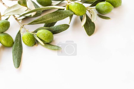 Téléchargez les photos : Nouvelle récolte d'olives et de feuilles fraîches sur surface blanche avec espace de copie - en image libre de droit