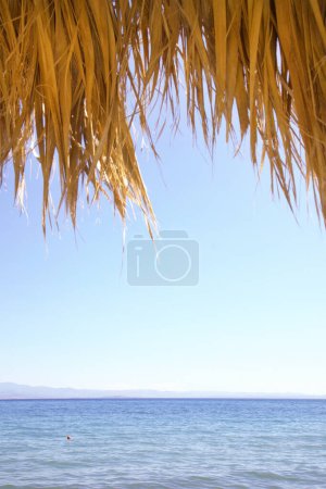Téléchargez les photos : Une mer calme, feuilles de palmier séchées et espace de copie, image verticale - en image libre de droit