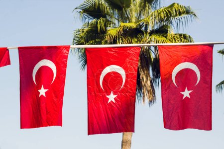 Téléchargez les photos : Drapeaux turcs accrochés dans les rues avant la fête nationale - en image libre de droit