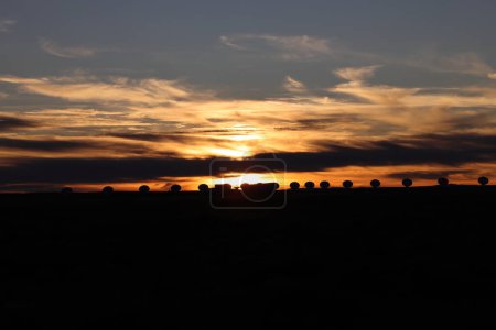 sehr große Reihe Satellitenschüsseln bei Sonnenuntergang in New Mexico, Vereinigte Staaten