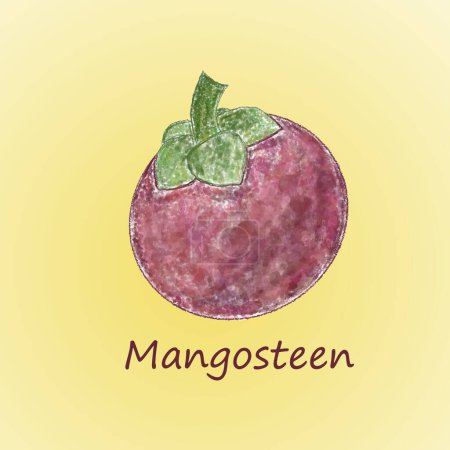 Téléchargez les photos : Mangoustan sur fond jaune. illustration vectorielle. - en image libre de droit