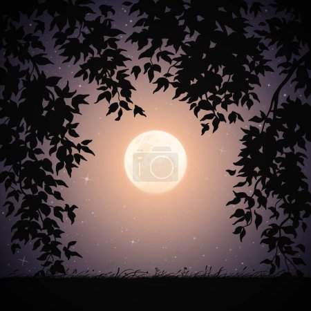  Moon framed by branches. Landscape with tall grass on starry night