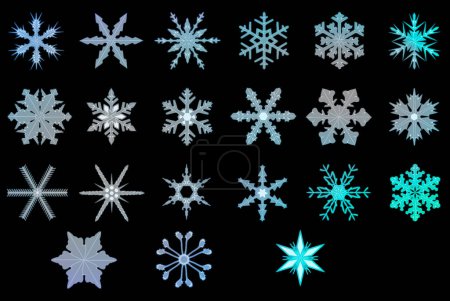A collection of 30 different green neon glow snowflakes isolated on a black background