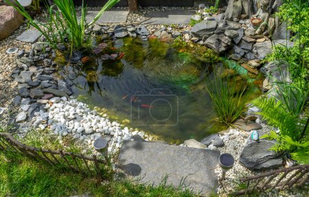 Teich mit Goldfischen im Garten