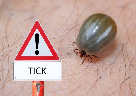 Warning sign ticks with a bloody tick